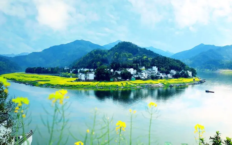 创新高端
